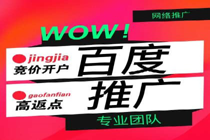 百度竞价推广与SEO结合的策略——以某科技公司为例